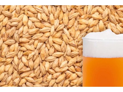 61444 239 vyr 163 04 Pale ale malt