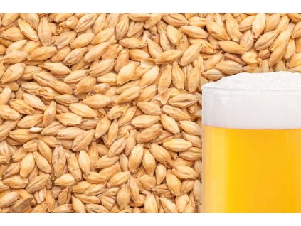 BEST CARAMEL® PILS Malt