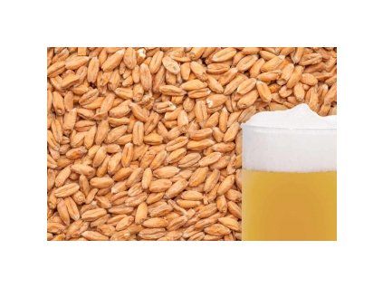 slad BEST RYE MALT (žitný)