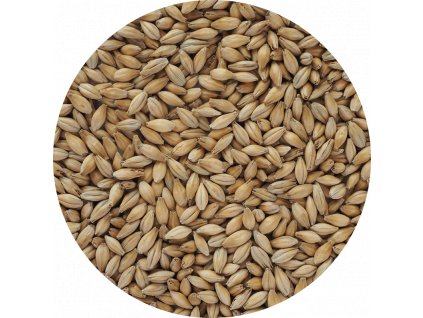 Crisp Chevallier Heritage Malt