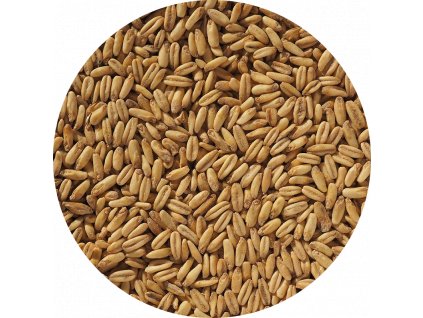 Crisp Naked Oat Malt