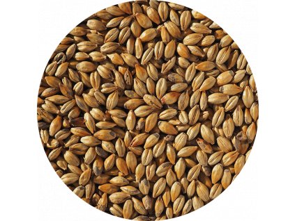 Crisp Amber Malt