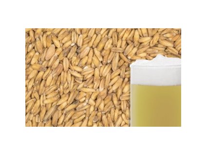 BEST OAT MALT