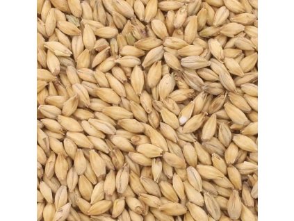 Beerex Floor-Malted Pilsner Malt