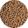 Malt Single Wheat Malt 796 x 796