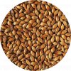 Malt Single Crystal 400 Malt 796 x 796