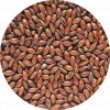 Crisp Low Colour Chocolate Malt