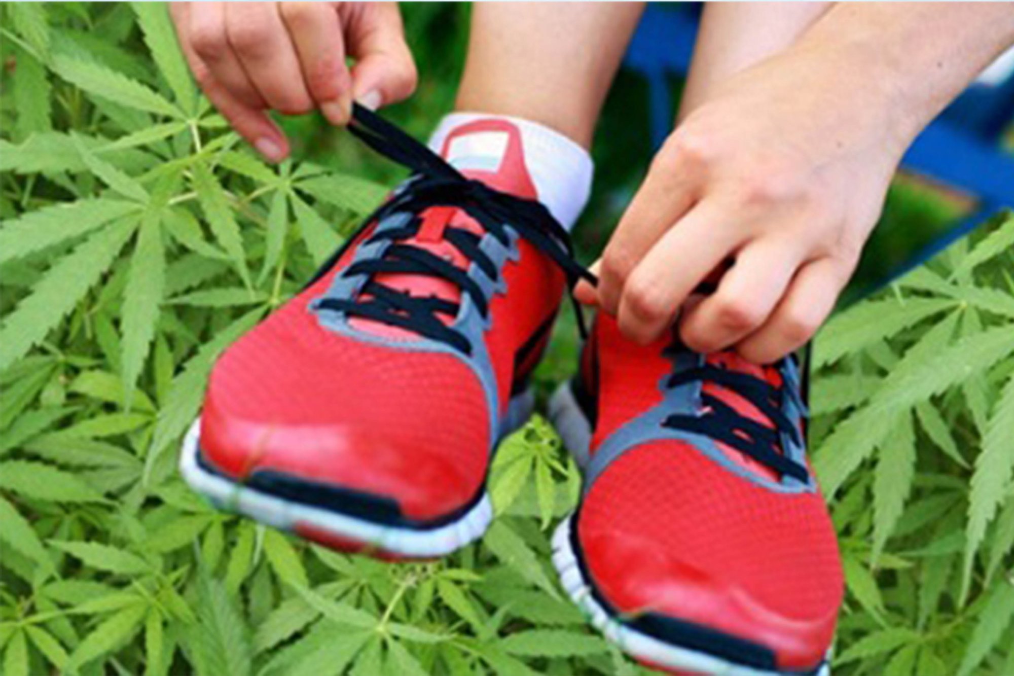 Pozitivní účinky marihuany pro běžce