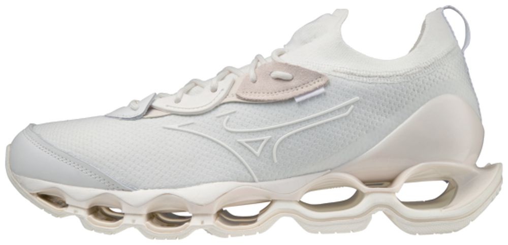 Vycházková obuv Mizuno WAVE PROPHECY D1GA220201 46