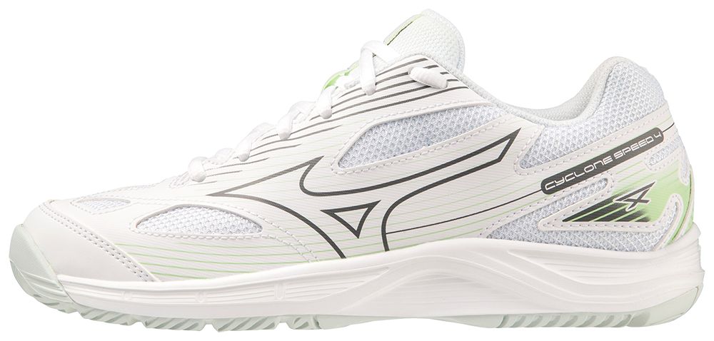 Sálová obuv Mizuno CYCLONE SPEED 4 V1GC238035 42