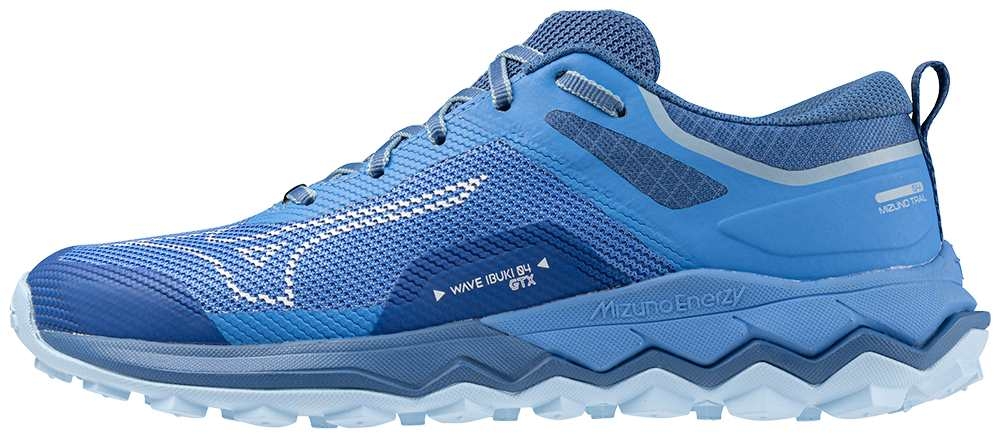 Běžecké boty Mizuno WAVE IBUKI 4 GTX J1GK225982 37