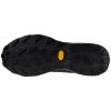 Běžecké boty Mizuno WAVE DAICHI 8 GTX J1GJ245601