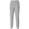7D7A797C7E7579786D6F7A7E 6B5C5A5A5A5A5E60625E6F5F mizuno athlete pant grey melange xs