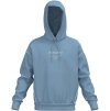 7D7A797C7E7579786D6F7A7E 6B5C5A5A5A5A5E6E6061635F athletics graphic hoody glacier lake xxl