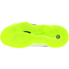 SH V1GA254039 02