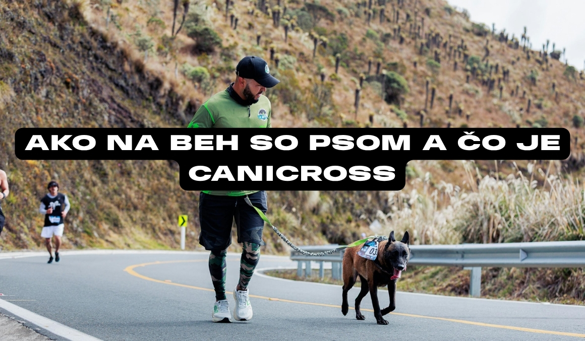 Beh so psom: Kompletný sprievodca pre začínajúcich „canicrossárov“
