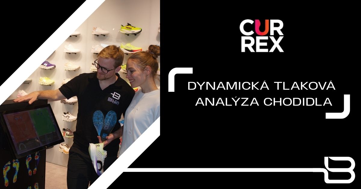 Dynamická analýza chodidla