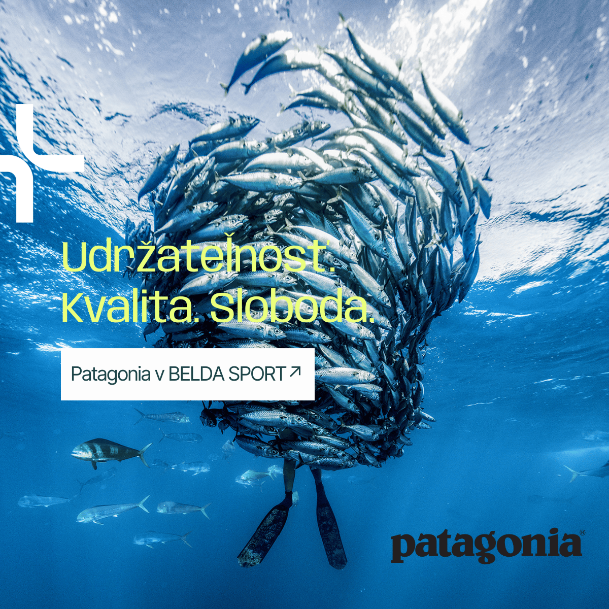 Patagonia_SS26_mobile