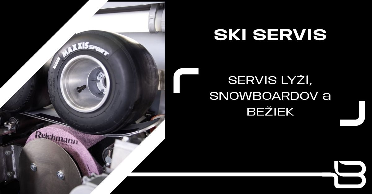 Servis lyží