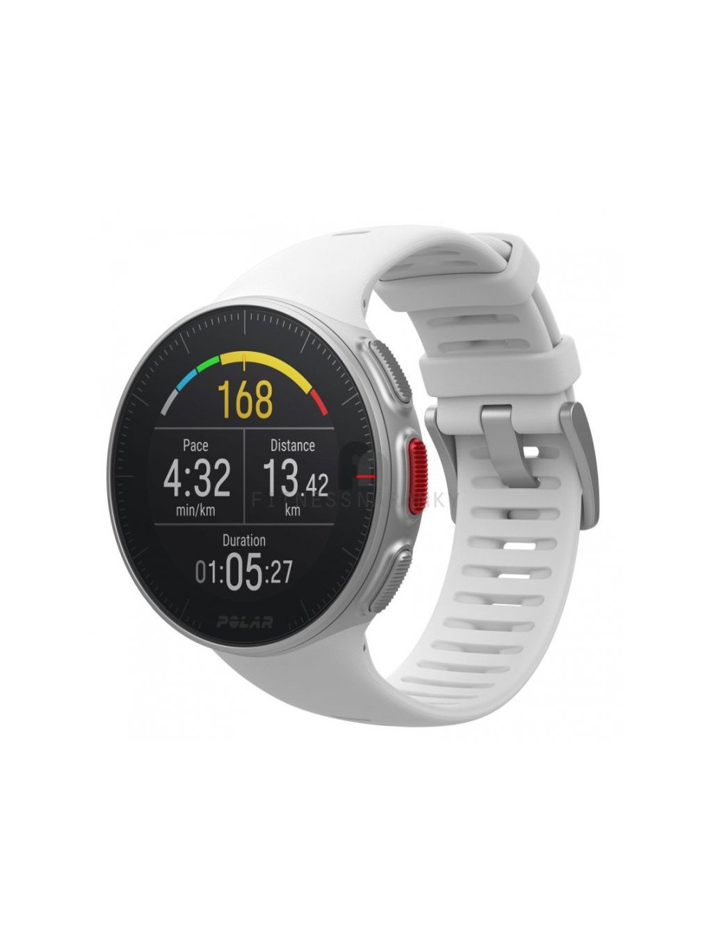 1065 01 polar vantage v white[1]