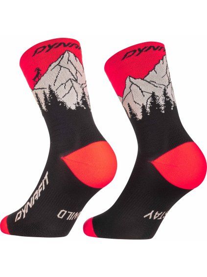 528135d6 2646 4565 bbc0 610456c4c0e2