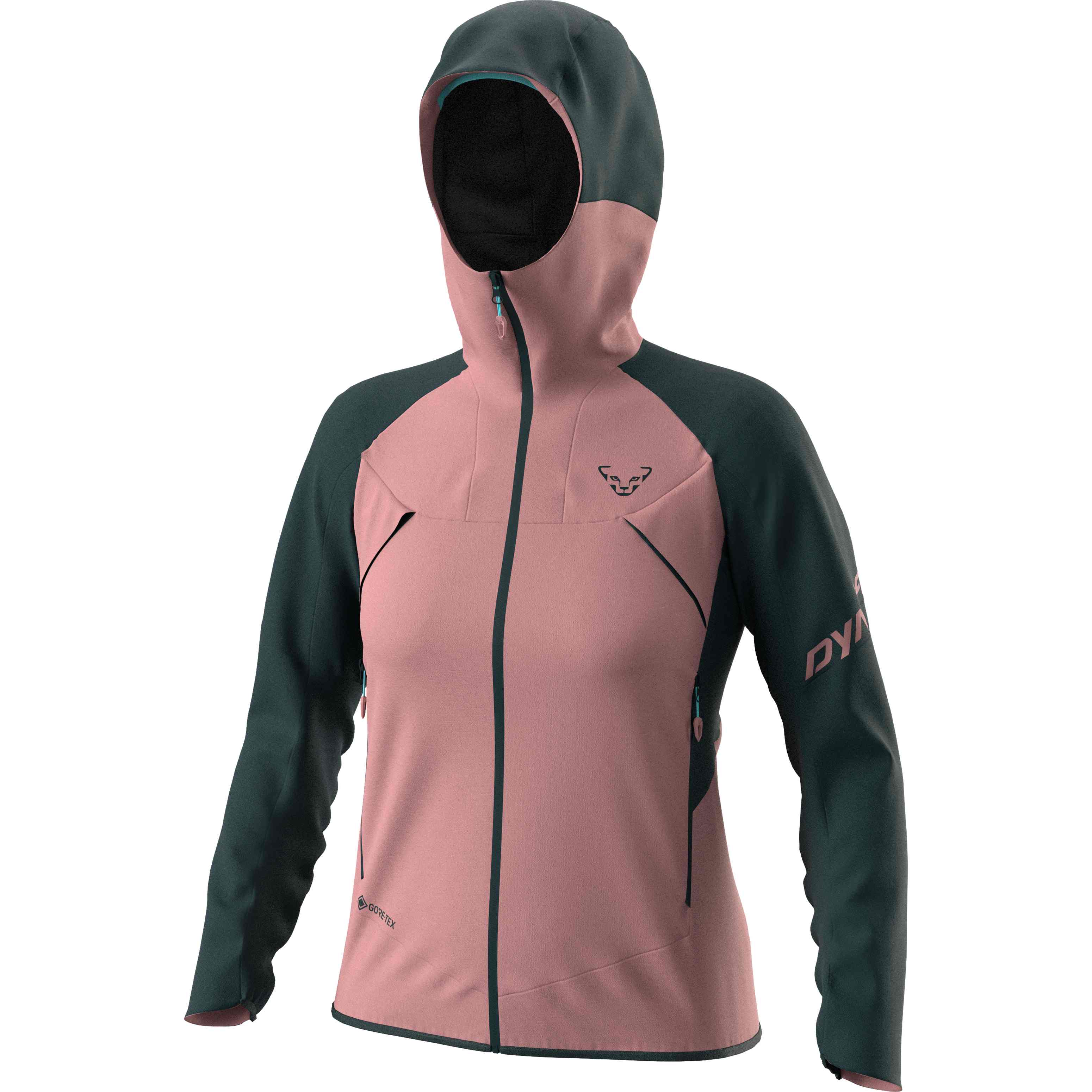 Dynafit bunda Transalper Gtx W blueberry mokarosa Velikost: XS