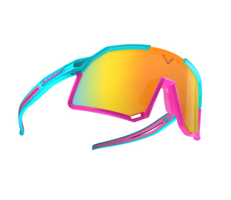 Dynafit okuliare Trail Evo Sunglasses silvretta Velikost: UNI