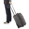 CARRYONROLLER42L CARBON 610934248241 10002058 CARBON 91M PT80[3]