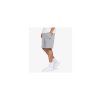 DC šortky Riot Short A medium grey