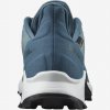 Salomon obuv Alphacross 3 Gtx W blue white1