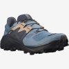 Salomon obuv Wildcross 2 Gtx blue stone1