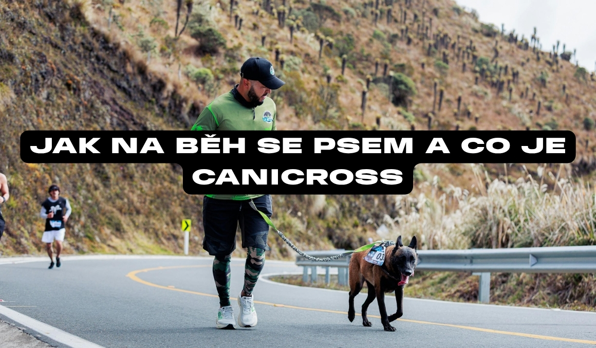 Běh se psem: Kompletní průvodce pro začínající „canicrossaře“