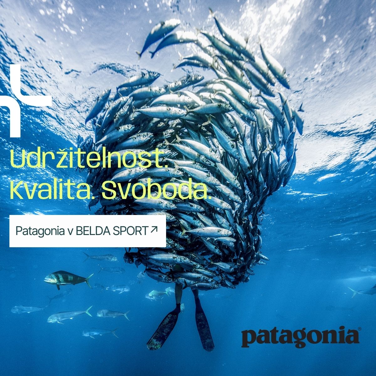 Patagonia SS26_mobile