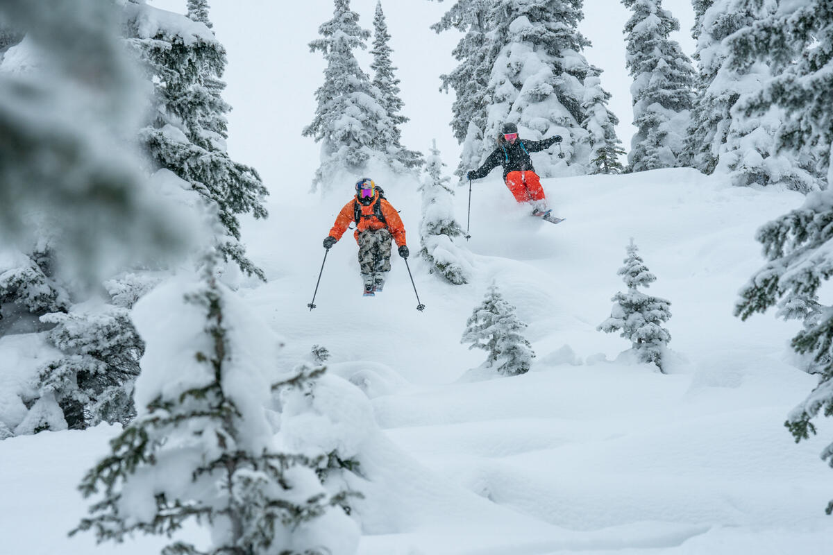 freeridove-lyze-atomic