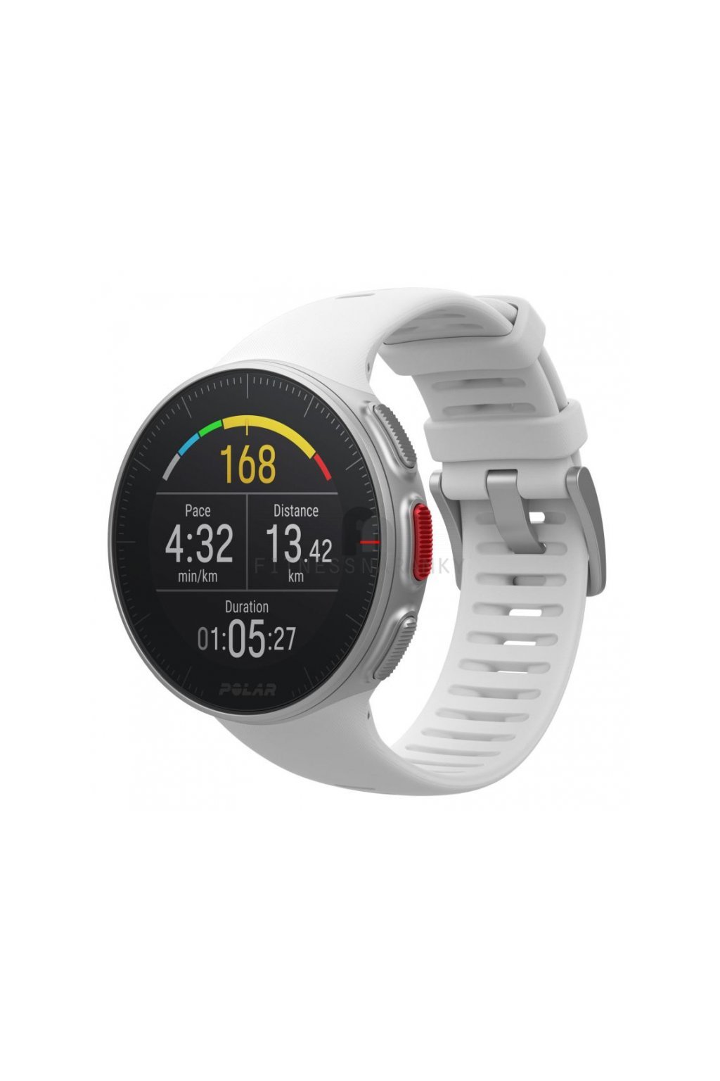 1065 01 polar vantage v white[1]