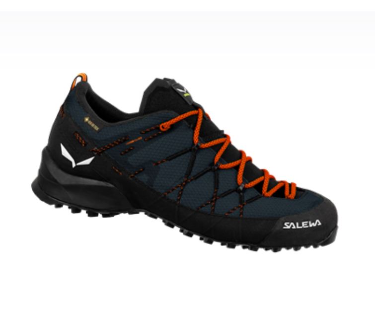 Salewa obuv Wildfire 2 Gtx Mnavy blazer/black Velikost EU: 47