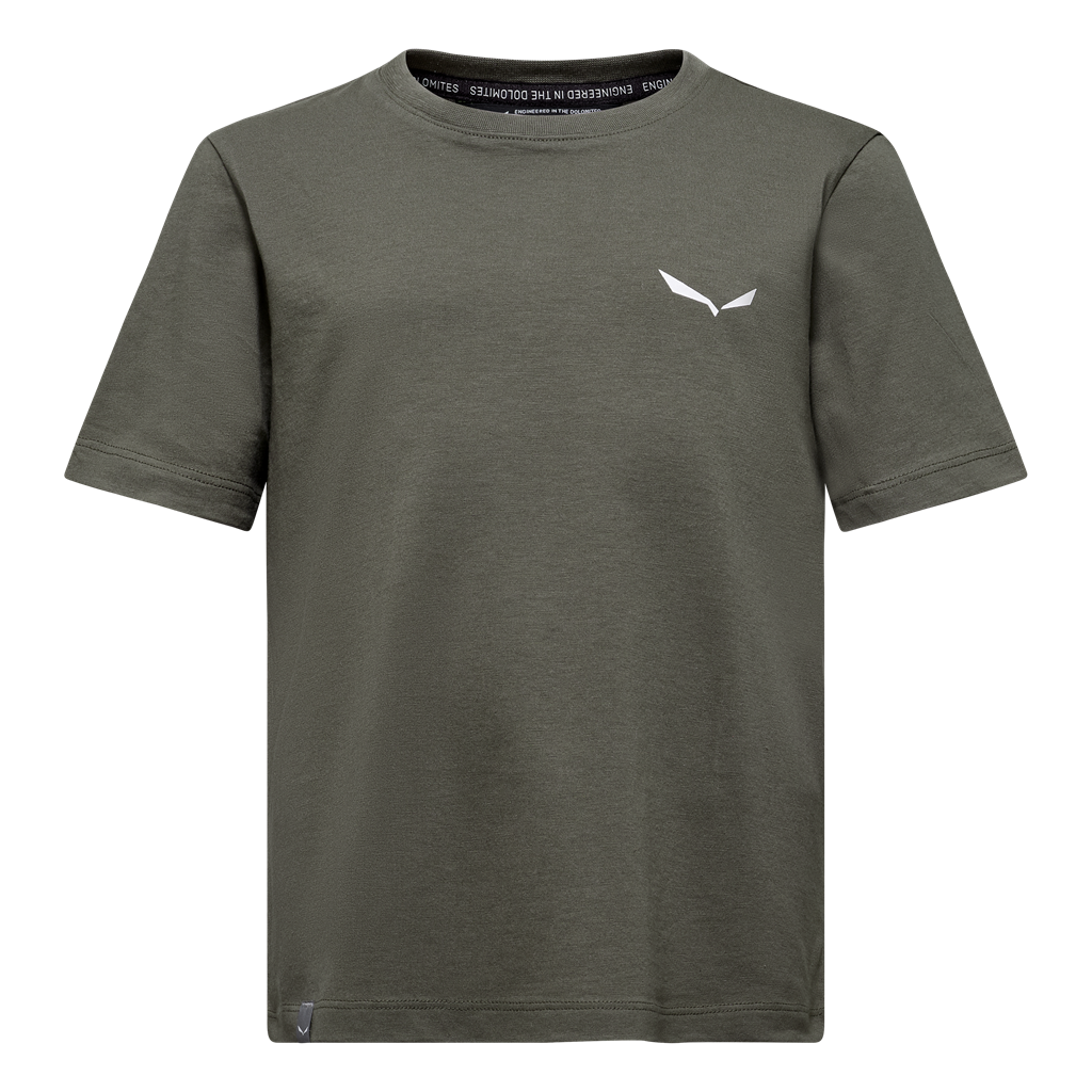 Salewa tričko Kids Graphic T-Shirt faded green Velikost: 116