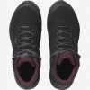 Salomon obuv Shelter Cs Wp W black wine1