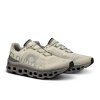 Cloudmonster ss24 ice alloy m g6
