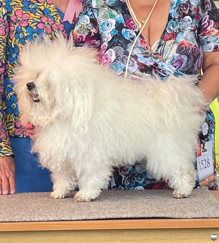 EDDIE – náš odchov