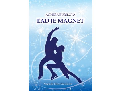 Ľad je magnet