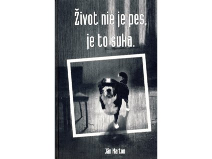Život nie je pes, je to suka