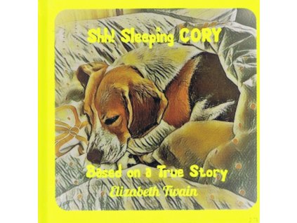 Shh! Sleeping CORY - Based on a True Story