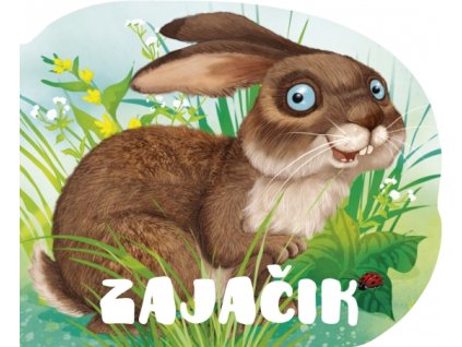 Zajačik