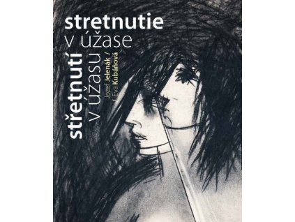 Stretnutie v úžase