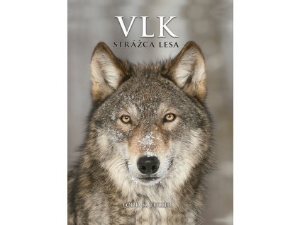 Vlk: Strážca lesa
