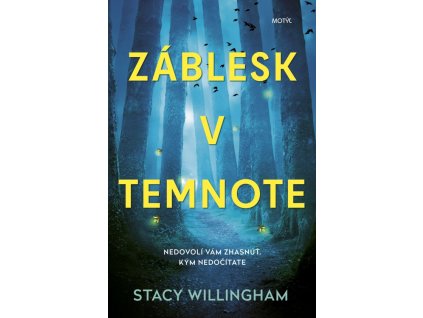 Záblesk v temnote