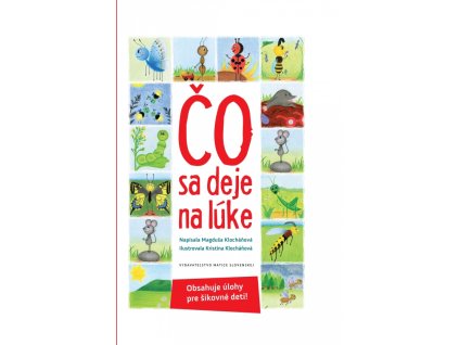 Čo sa deje na lúke