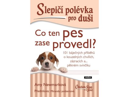 Slepičí polévka pro duši - Co ten pes za