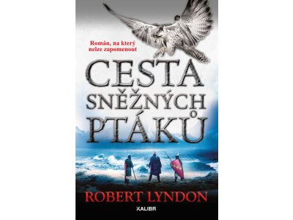 Cesta sněžných ptáků